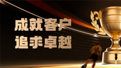78天攻坚成功！！！某股份制银行“一表通”报送效能&质量双重领跑