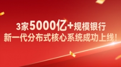 高效交付！！！3家5000亿+规模银行新主题系统成功上线！！！
